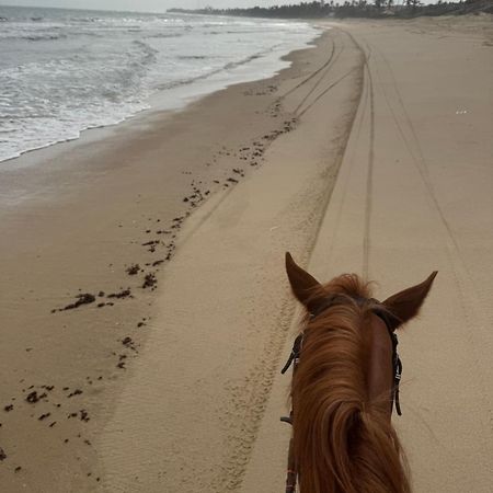 Bangalo Encantador Praia Da Baleia Itapipoca Bagian luar foto