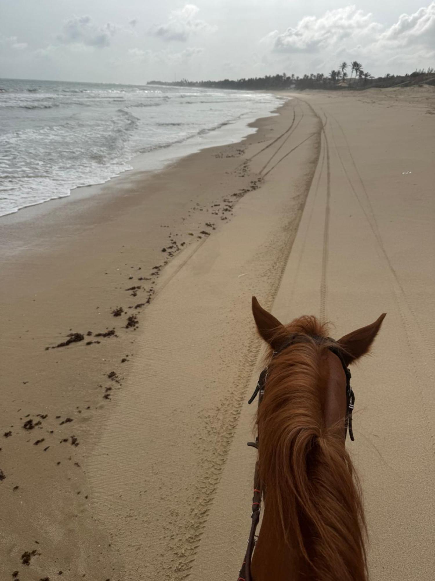 Bangalo Encantador Praia Da Baleia Itapipoca Bagian luar foto